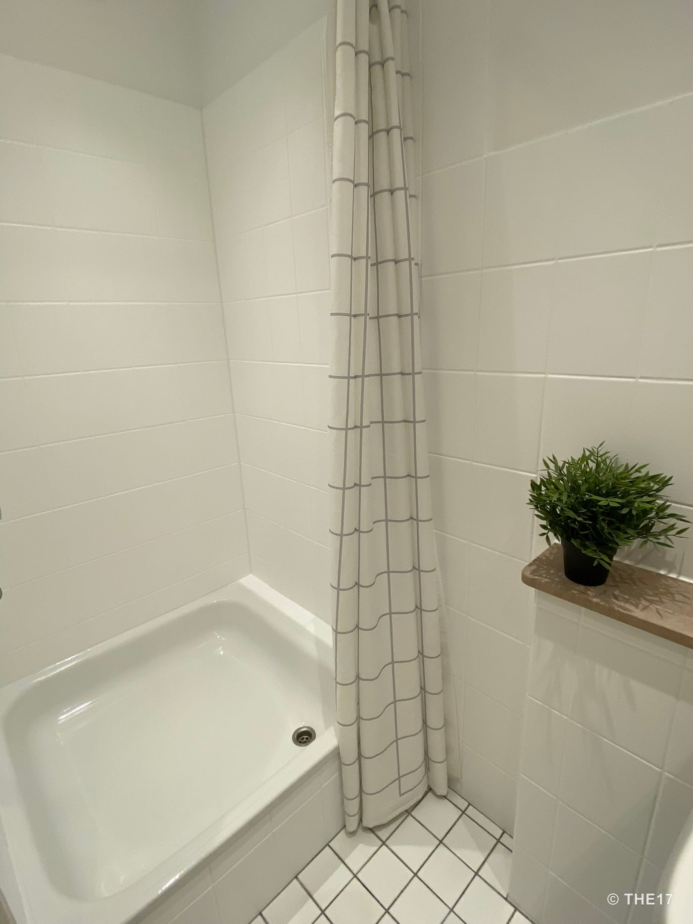 Kleine weiße geflieste Dusche mit einem weißen Duschvorhang mit grauem Gittermuster und einem kleinen grünen Topfpflanze.