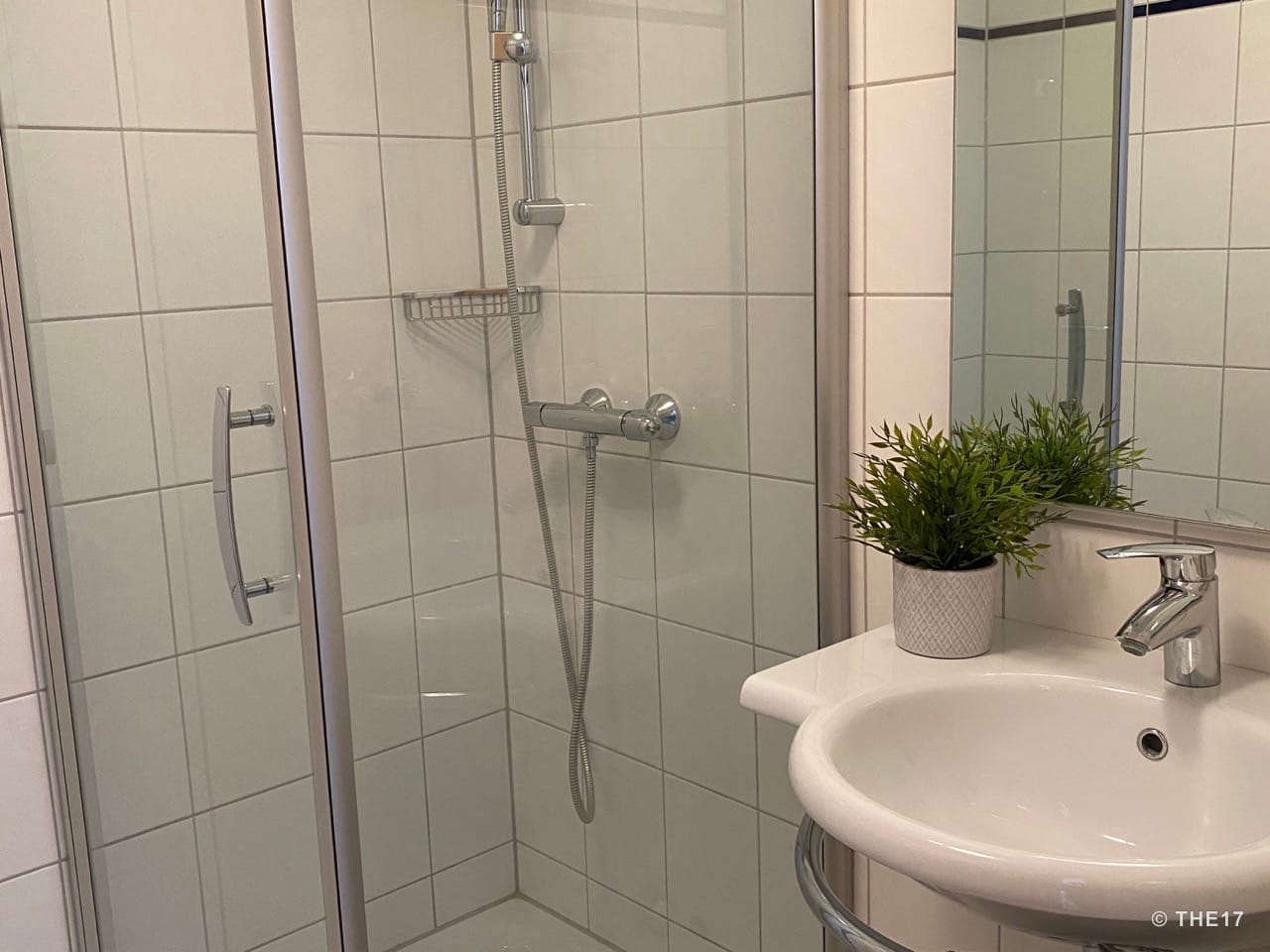 Small bathroom with tiled shower cabin, white sink, mirror, and green plant in gray pot.