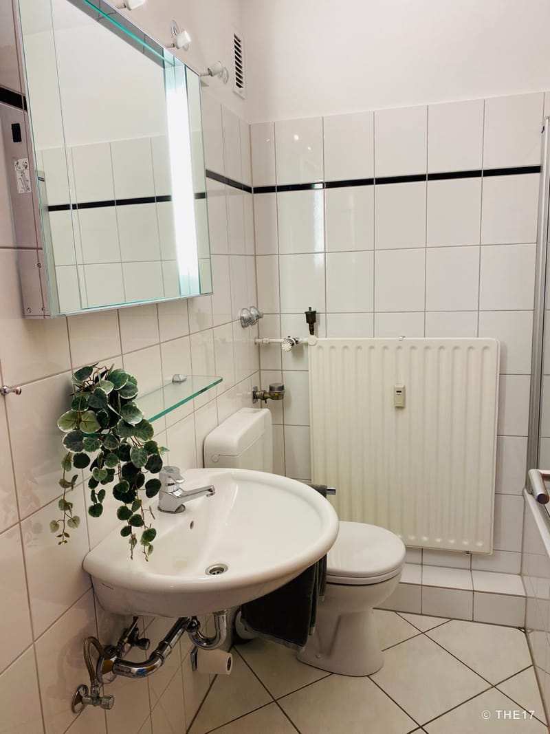 Small bathroom with white toilet, sink, radiator, mirror, and hanging plant.