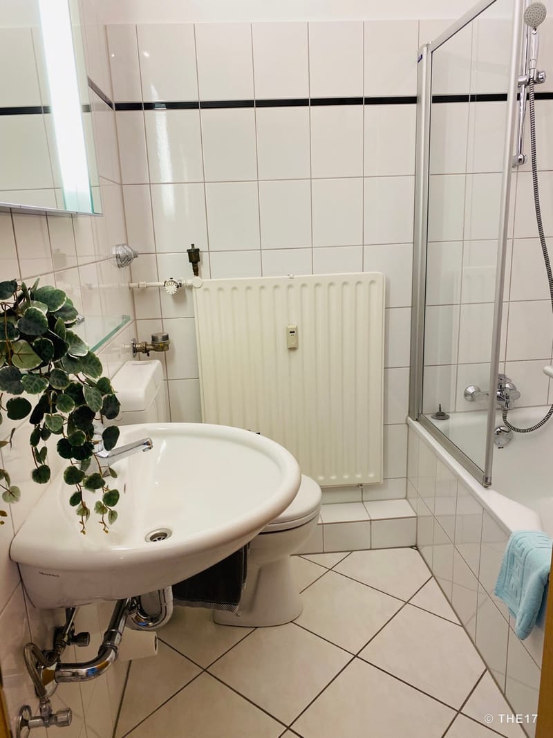 Small bathroom with white sink, toilet, bathtub with shower screen, radiator, and green plant on the sink.