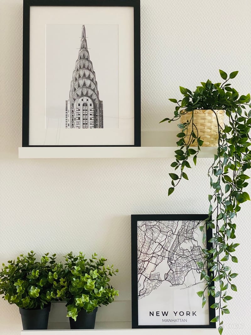 Two white shelves with framed black and white pictures and green potted plants against a white textured wall.